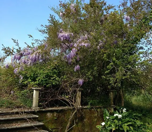 Inglessata Rose Aparthotel