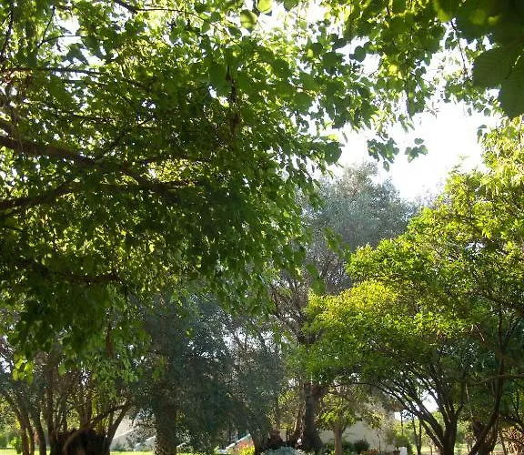 Aparthotel Inglessata Rose 3*