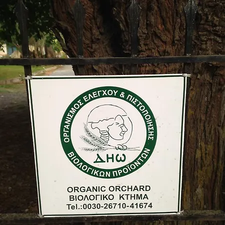 Inglessata Rose Zvoronáta