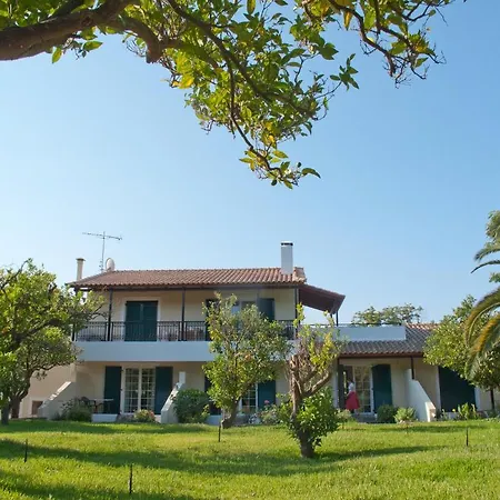 Inglessata Rose Zvoronáta