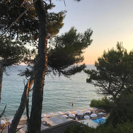 Inglessata Rose Zvoronáta